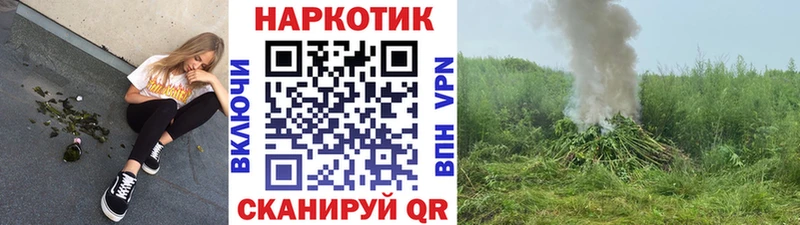 Купить наркотики сайты Киржач Alpha-PVP  Мефедрон  АМФЕТАМИН  Гашиш  Бошки Шишки  Cocaine 