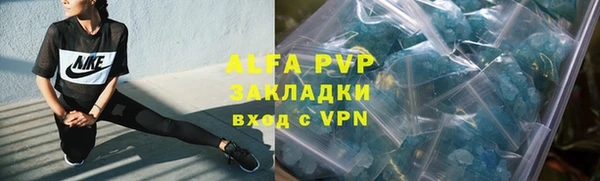 крисы Нея
