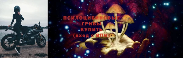 крисы Нея