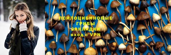 молекула духа Навашино