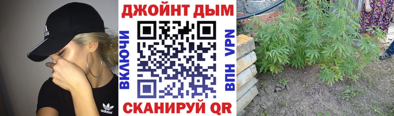 дарк нет официальный сайт  Киржач  Конопля планчик  дарнет шоп 